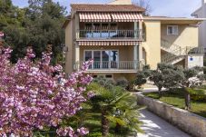 Ferienwohnung in Porec - Apartment Rocco in Porec, Istria