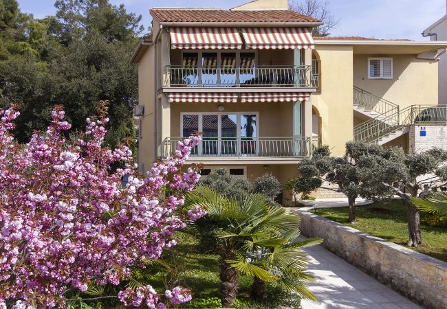 Apartment Saša