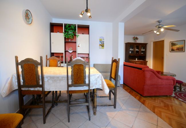 Ferienwohnung in Porec - Apartment Filipin in Porec, Istria Ferienwohnung in Porec - Apartment Filipin in Porec, Istria