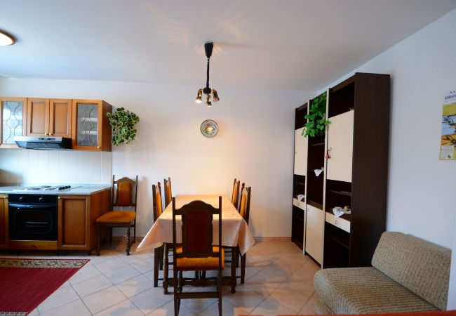 Ferienwohnung in Porec - Apartment Filipin in Porec, Istria Ferienwohnung in Porec - Apartment Filipin in Porec, Istria
