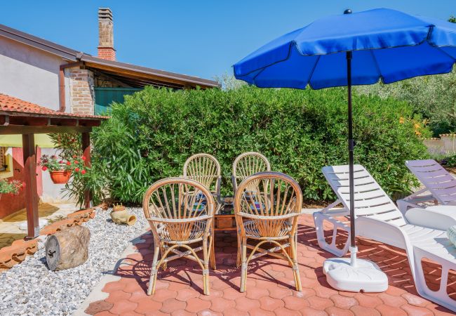 Ferienwohnung in Višnjan - Apartment Milena- Visnjan with pool Ferienwohnung in Višnjan - Apartment Milena- Visnjan with pool