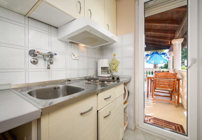 Ferienwohnung in Porec - Apartment Alma IG in Porec, Istria Ferienwohnung in Porec - Apartment Alma IG in Porec, Istria