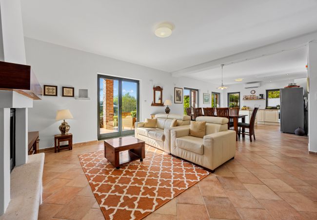 Villa in Pinezici - Villa Maddalena with private pool in Tinjan, Istra Villa in Pinezici - Villa Maddalena with private pool in Tinjan, Istra