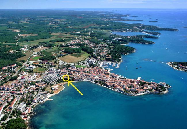 Ferienwohnung in Porec - Premium apartment Peschiera Porec Ferienwohnung in Porec - Premium apartment Peschiera Porec