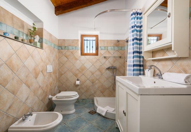 Villa in Radetici - Villa Marijanin vrt with pool in Tinjan, istria Villa in Radetici - Villa Marijanin vrt with pool in Tinjan, istria