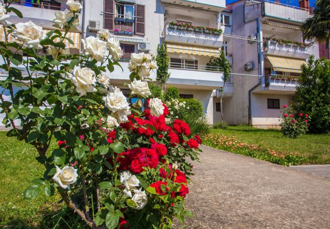 Ferienwohnung in Porec - Apartment Tereza Porec Ferienwohnung in Porec - Apartment Tereza Porec