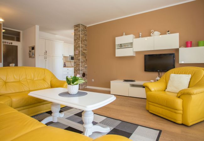 Ferienwohnung in Porec - Apartment Tereza Porec Ferienwohnung in Porec - Apartment Tereza Porec