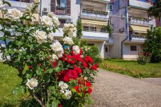 Ferienwohnung in Porec - Apartment Tereza Porec