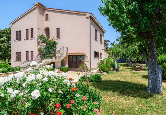 Ferienwohnung in Dracevac - Premium Apartment David Ferienwohnung in Dracevac - Premium Apartment David