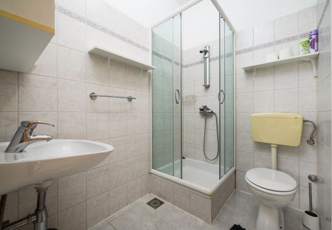 Ferienwohnung in Stranici kod Nove Vasi - Apartment Panous 2 Ferienwohnung in Stranici kod Nove Vasi - Apartment Panous 2