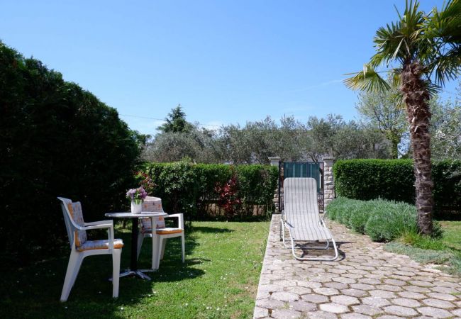 Studio in Porec - Studio Josipa Studio in Porec - Studio Josipa