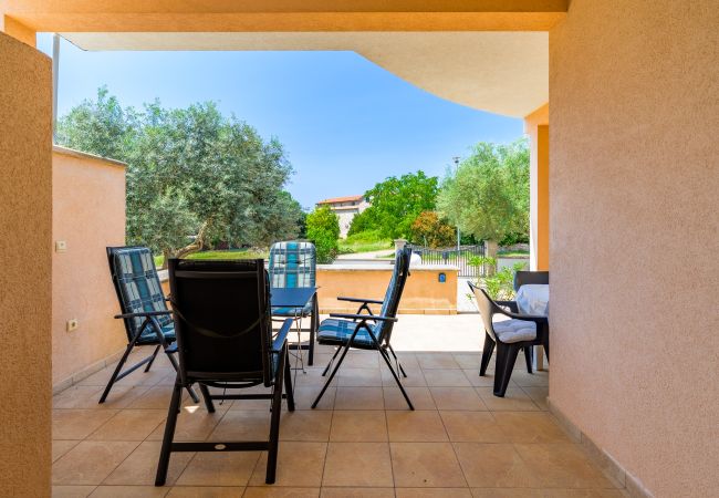 Ferienwohnung in Stranici kod Nove Vasi - Apartment Panous 1 Ferienwohnung in Stranici kod Nove Vasi - Apartment Panous 1