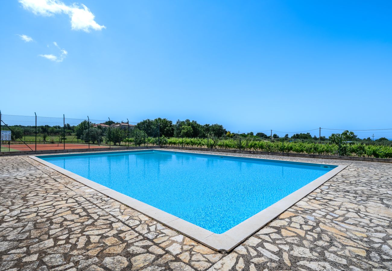 Ferienwohnung in Porec - Premium Apartment Seven with Pool in Poreč Ferienwohnung in Porec - Premium Apartment Seven with Pool in Poreč