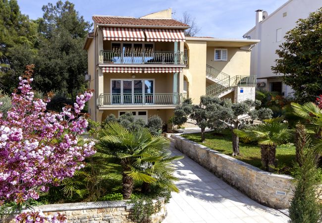  a Porec - Apartment Rocco in Porec, Istria