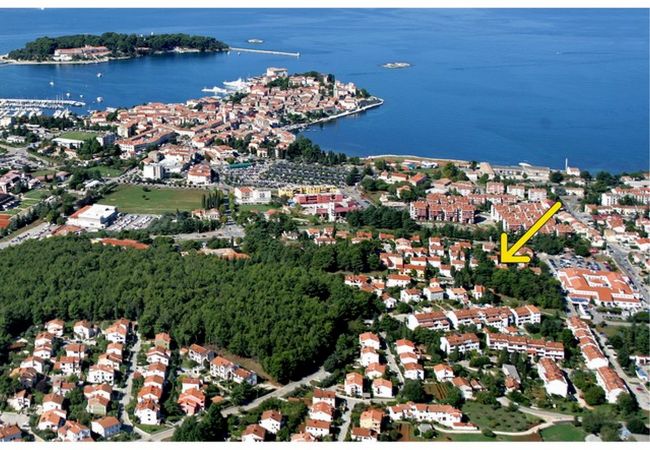 Appartamento a Porec - Apartment Saša in Porec Appartamento a Porec - Apartment Saša in Porec