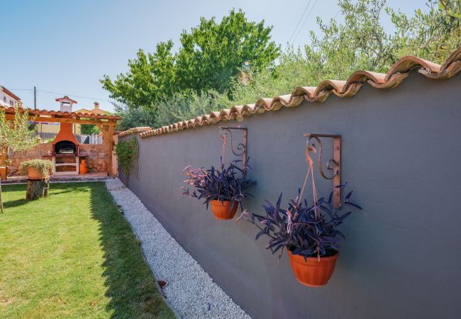 Appartamento a Višnjan - Apartment Milena- Visnjan with pool Appartamento a Višnjan - Apartment Milena- Visnjan with pool