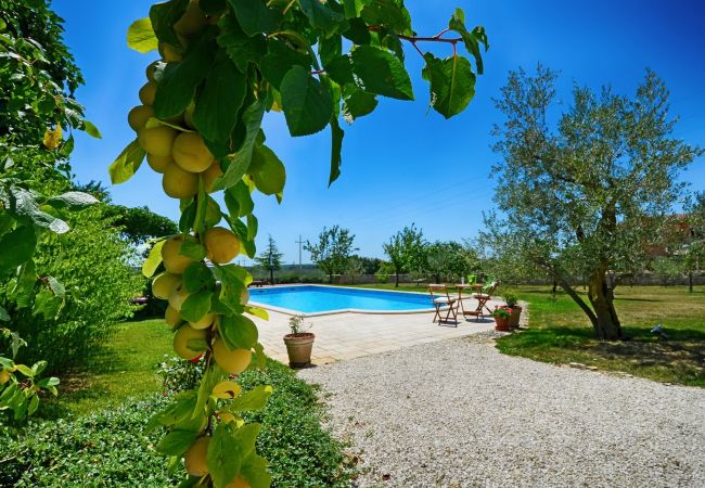 Pinezici - Villa