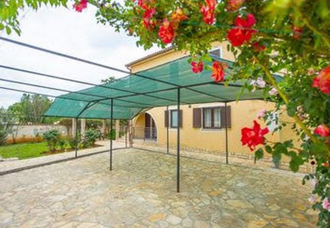 Appartamento a Porec - Apartment Bruna in Porec, Istria Appartamento a Porec - Apartment Bruna in Porec, Istria