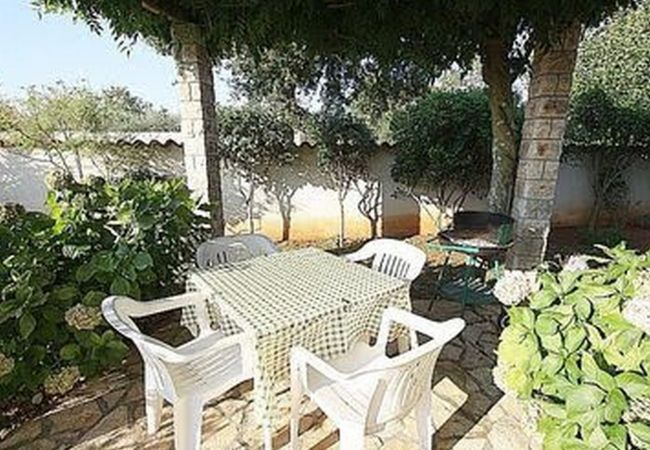 Appartamento a Porec - Apartment Bruna in Porec, Istria Appartamento a Porec - Apartment Bruna in Porec, Istria