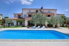 Appartamento a Porec - Apartman Hope Maj 6