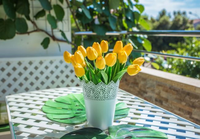 Appartamento a Porec - Apartment Tereza Porec Appartamento a Porec - Apartment Tereza Porec