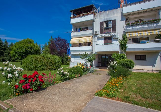 Appartamento a Porec - Apartment Tereza Porec Appartamento a Porec - Apartment Tereza Porec