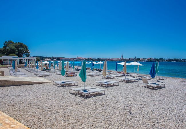 Appartamento a Porec - Apartment Tereza Porec Appartamento a Porec - Apartment Tereza Porec