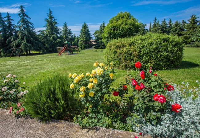 Appartamento a Porec - Apartment Tereza Porec Appartamento a Porec - Apartment Tereza Porec