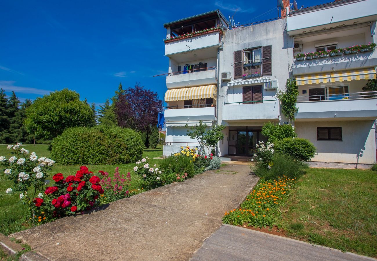 Appartamento a Porec - Apartment Tereza Porec Appartamento a Porec - Apartment Tereza Porec