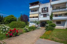 Appartamento a Porec - Apartment Tereza Porec