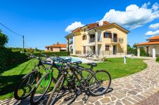 appartamento con piscina a Vizinada, affitto vacanze Mekisi, piscina privata, alloggio di lusso Vizinada, Istria