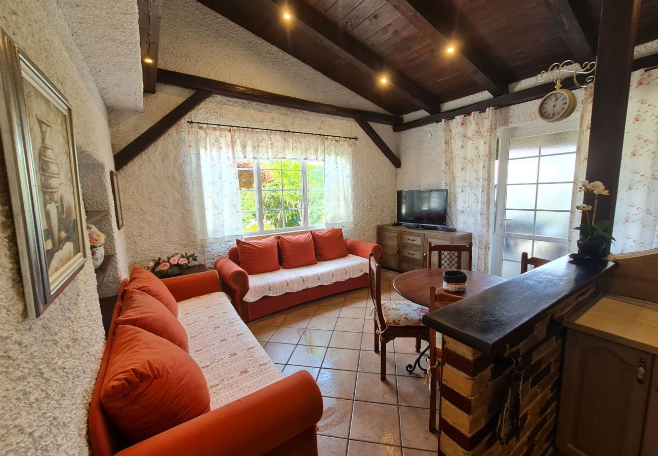 Appartamento a Porec - Apartment Erna in Porec, Istria Appartamento a Porec - Apartment Erna in Porec, Istria