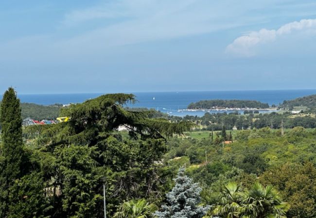 Appartamento a Mugeba - Apartment Branko II in Porec, Istria Appartamento a Mugeba - Apartment Branko II in Porec, Istria