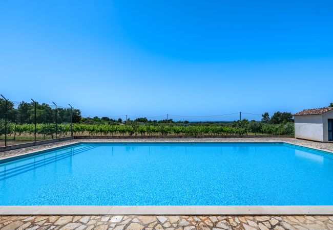 Appartamento a Porec - Premium Apartment Seven with Pool in Poreč Appartamento a Porec - Premium Apartment Seven with Pool in Poreč