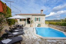 Villa in Tinjan - Casa Antignana with pool in Istria