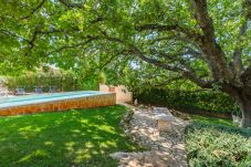 Villa in Bacva - Villa Hrast Bacva with Pool in Višnjan, Istria