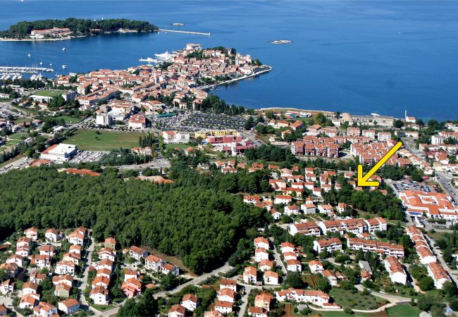 Apartment in Porec - Apartment Rocco in Porec, Istria Apartment in Porec - Apartment Rocco in Porec, Istria