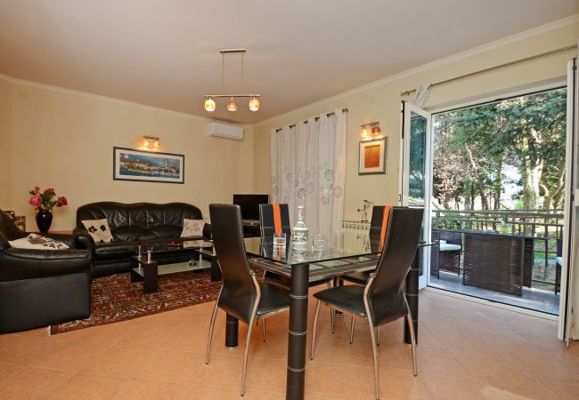 Apartment in Porec - Apartment Saša in Porec Apartment in Porec - Apartment Saša in Porec