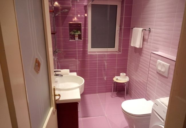 Apartment in Porec - Apartment Saša in Porec Apartment in Porec - Apartment Saša in Porec