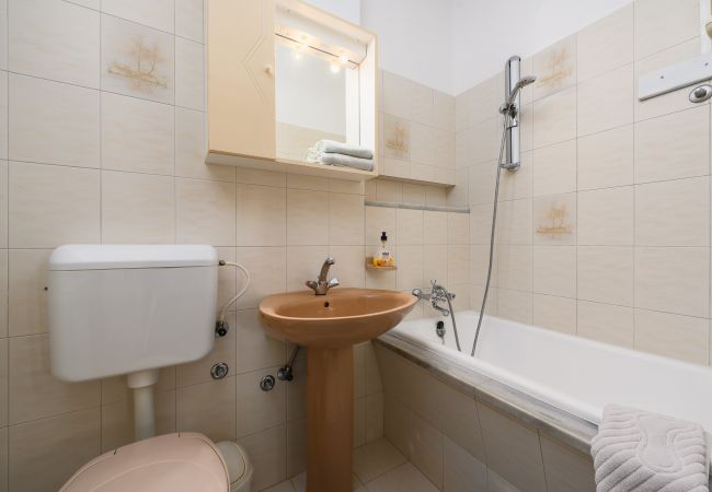 Apartment in Porec - Apartment Alma IIG in Porec, Istria Apartment in Porec - Apartment Alma IIG in Porec, Istria