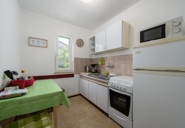 Apartment in Porec - Apartment Inteuro Porec Apartment in Porec - Apartment Inteuro Porec