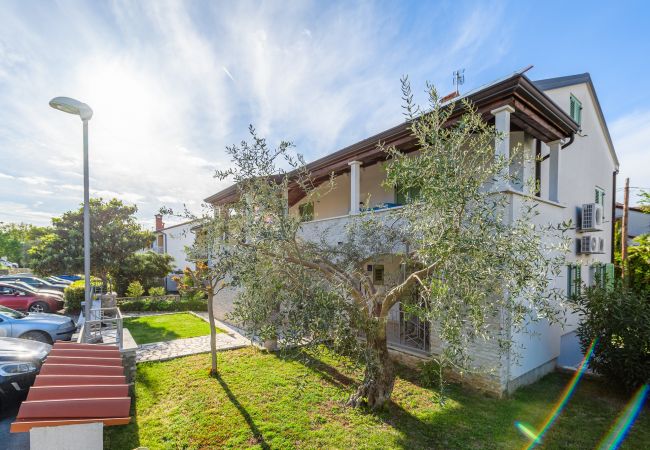 Apartment in Porec - Apartment Inteuro Porec Apartment in Porec - Apartment Inteuro Porec