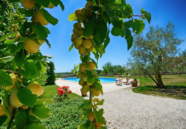Villa in Pinezici - Design Villa Benka with heated pool in Istria Villa in Pinezici - Design Villa Benka with heated pool in Istria