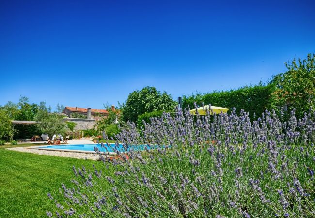 Villa in Pinezici - Design Villa Benka with heated pool in Istria Villa in Pinezici - Design Villa Benka with heated pool in Istria