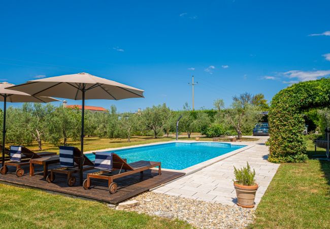 Big design-Villa Benja in Istria with Pool