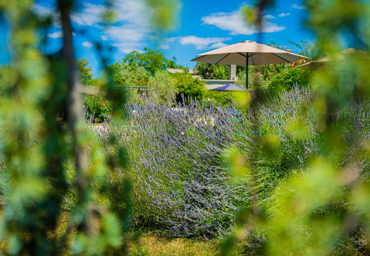 Villa in Pinezici - Design Villa Benka with heated pool in Istria Villa in Pinezici - Design Villa Benka with heated pool in Istria