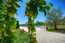 Villa in Pinezici - Design Villa Benka with heated pool in Istria