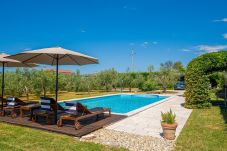 Big design-Villa Benja in Istria with Pool