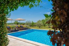 Villa in Pinezici - Design Villa Benka with heated pool in Istria