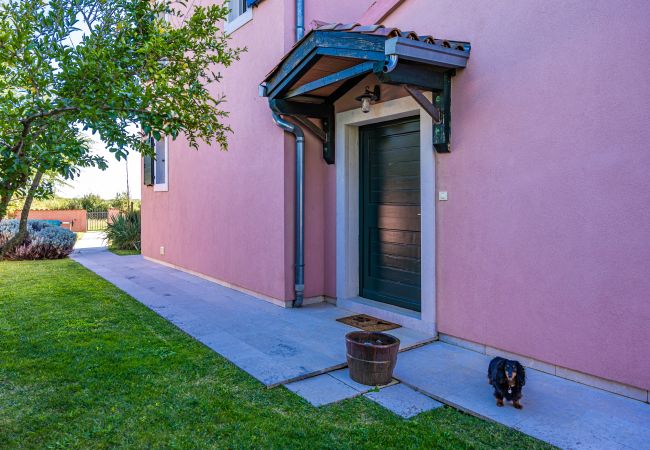 Villa in Pinezici - Villa Maddalena with private pool in Tinjan, Istra Villa in Pinezici - Villa Maddalena with private pool in Tinjan, Istra